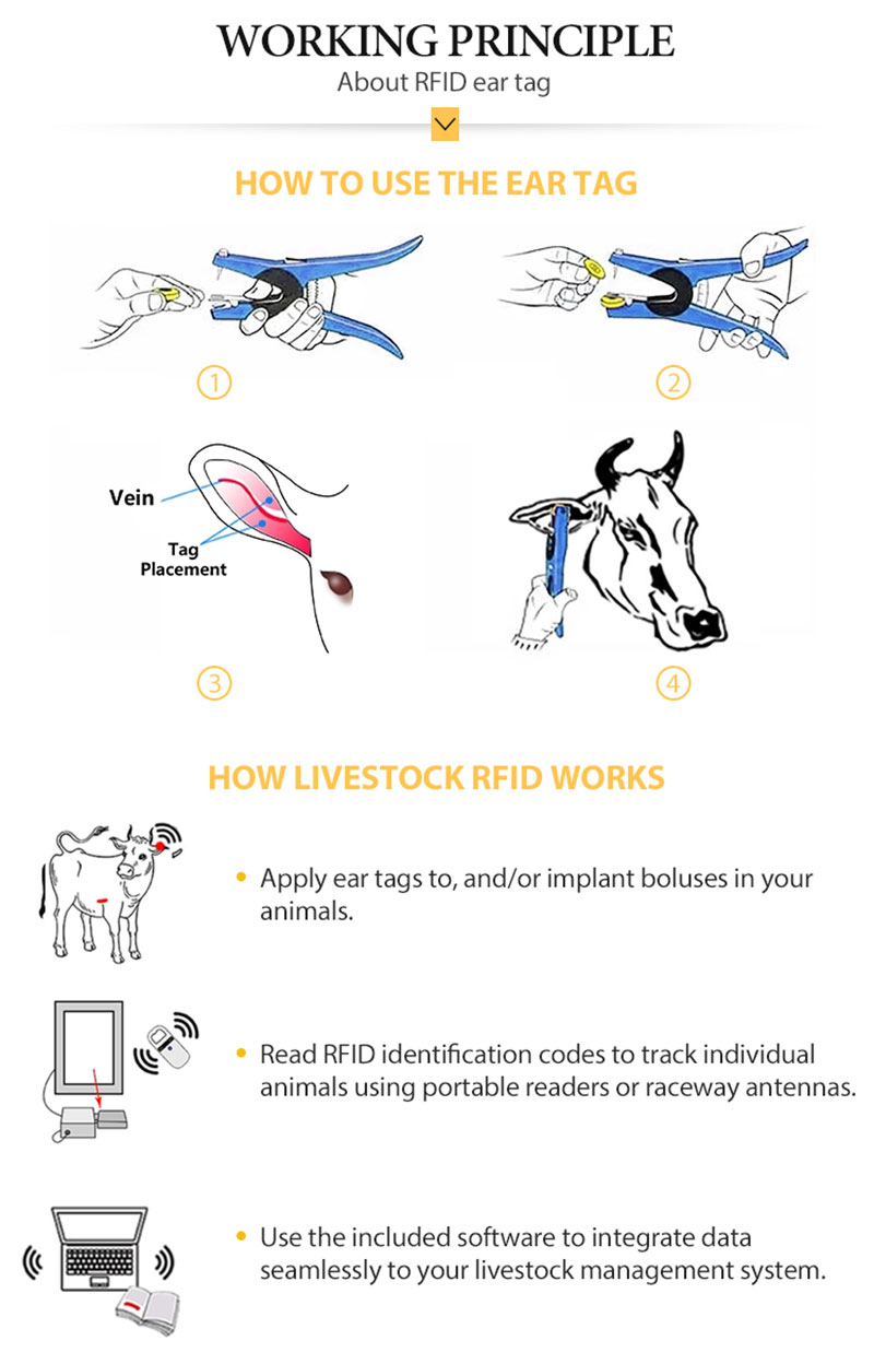 Lector de etiquetas RFID para animales de baja frecuencia 134.2Khz 4