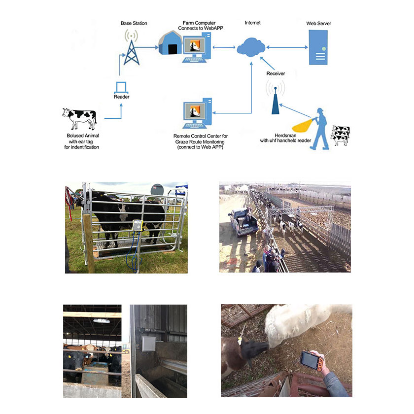 Sistema de seguimiento, identificación y gestión de animales RFID